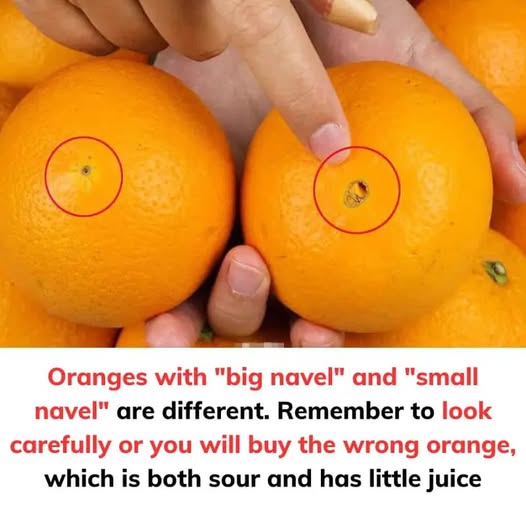 Why Big Navel Oranges Are Not What You Think—Choose Wisely!