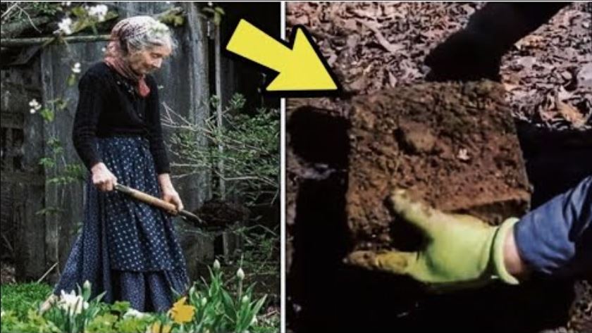 Ai pa nenen e tij te fshihte dicka ne kopesht. 30 Vjet me vone ai zbulon se cfare eshte dhe nuk mund