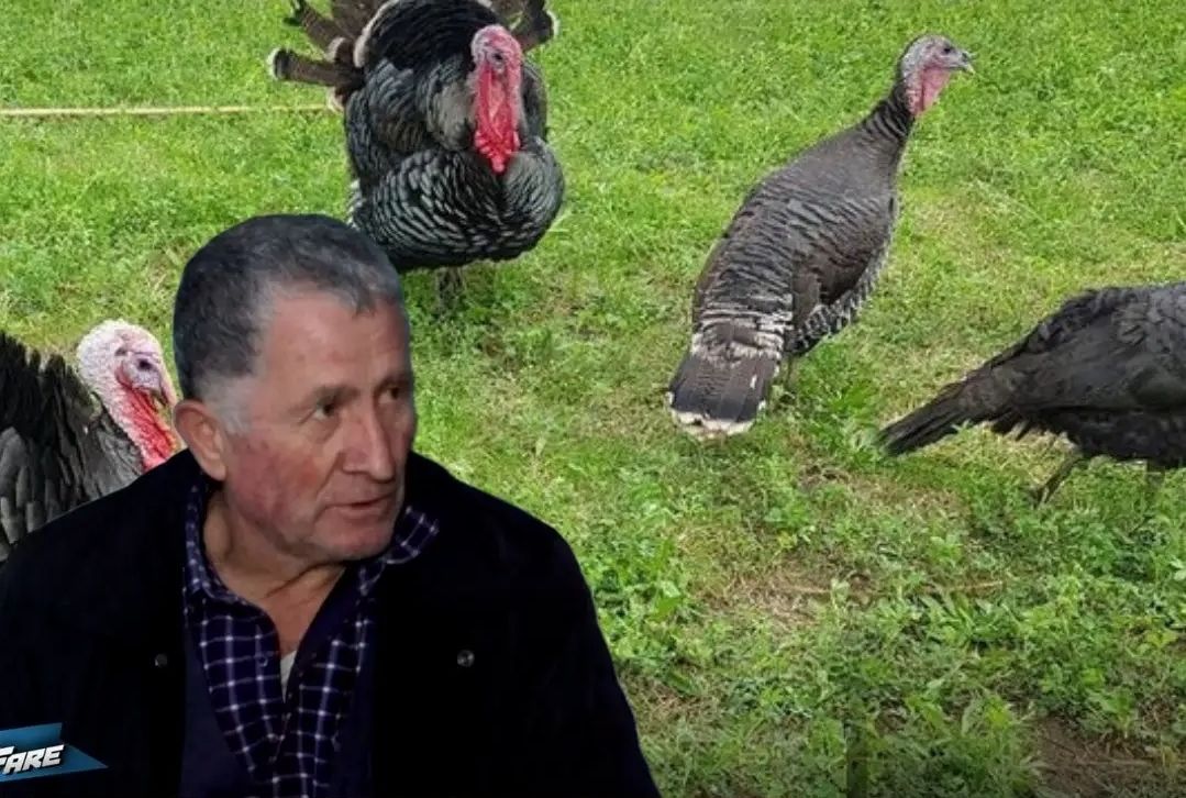 I moshuari nga Kuçova në hall të madh! Gruaja nga Tirana i mori pulat dhe qindra kokrra vezë por i bën të paimagjinueshmen