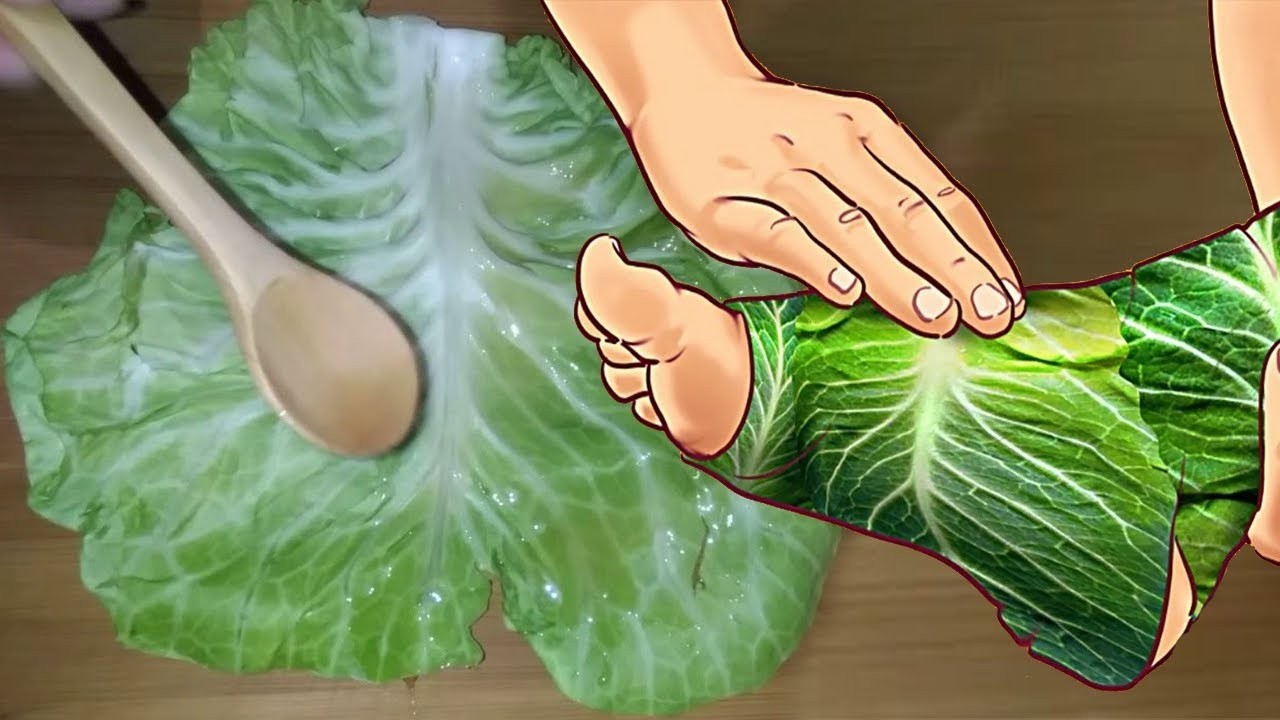 Vetëm 1 gjethe lakre i jep lamtumirë çdo problemi, ja si ta përdorni