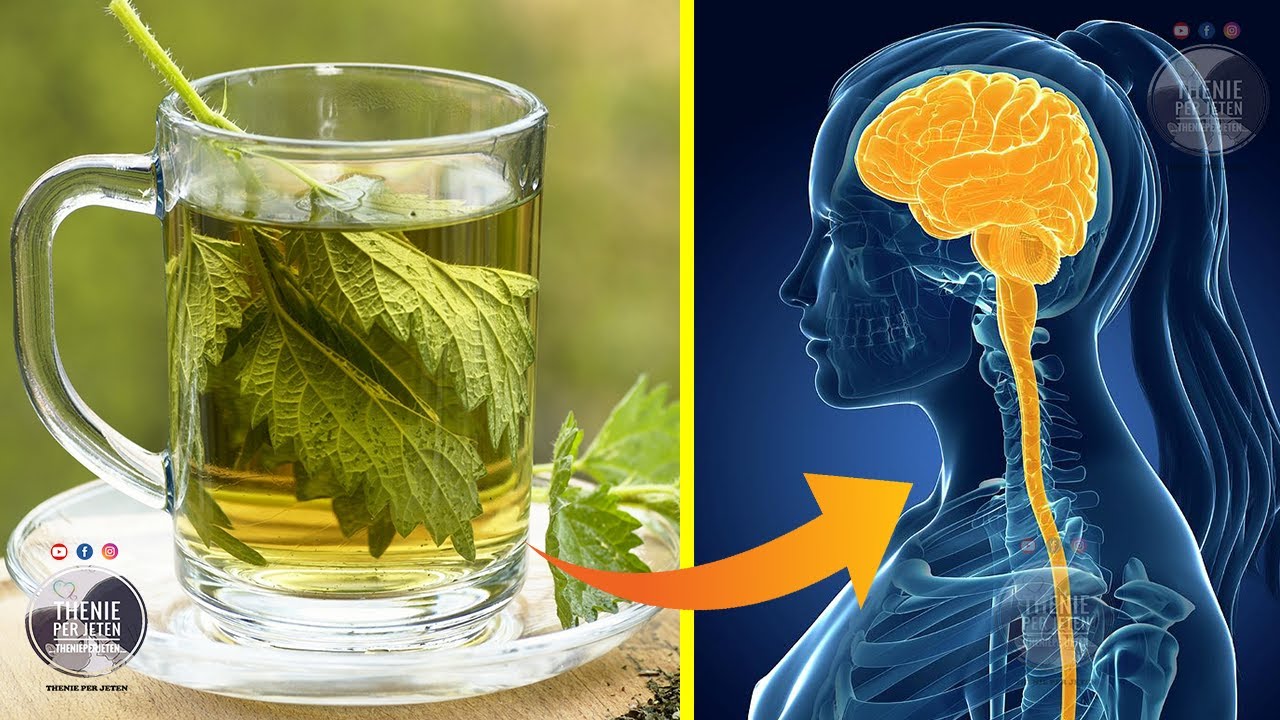 Vetëm 1 gote me Leng Hithre çdo dit i jep “lamtumirë çdo problemi”, ja si ta përdorni