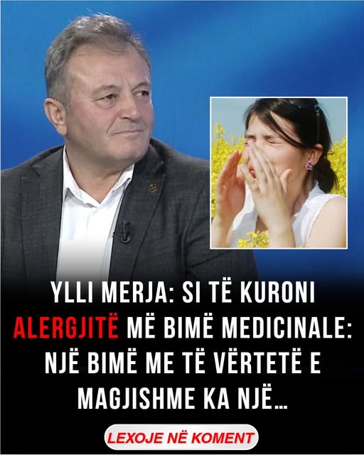 Ylli Merja: Si të kuroni alergjitë më bimë medicinale: Një bimë me të vërtetë e magjishme ka një…