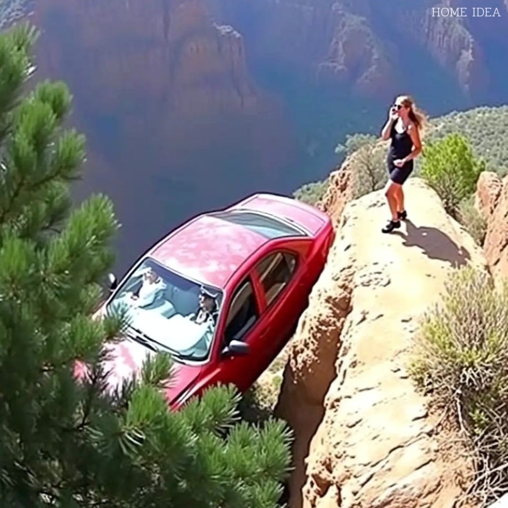 My daughter cut the car’s brake lines. When the car skidded off the cliff