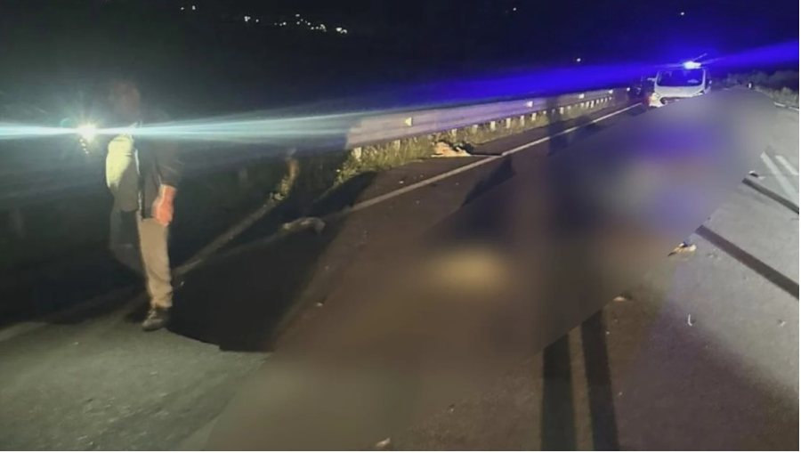 Serish ngjarje e tmerrshme ne Shqiperi! Makina godet frikshem bariun dhe bagëtitë