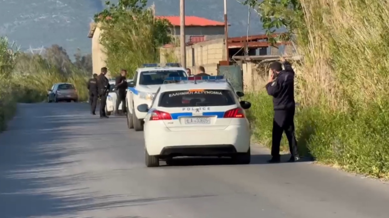 “U qëllua me plumb në kokë”/ DETAJE nga vrasja e shqiptarit në Greqi, ja kush e gjet trupin e pajetë