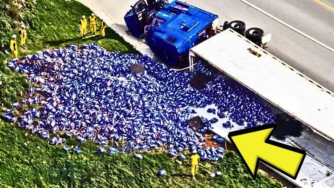 Shoferi i kamionit dëgjon zhurmë nga ngarkesa, zbehet kur shikon se çfarë kishte brenda…(VIDEO)