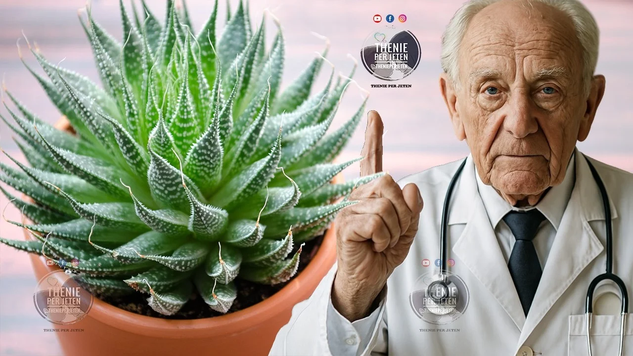 Vetëm 3 gjethe aloe vera i japin “lamtumirë çdo problemi”, ja si ti përdorni