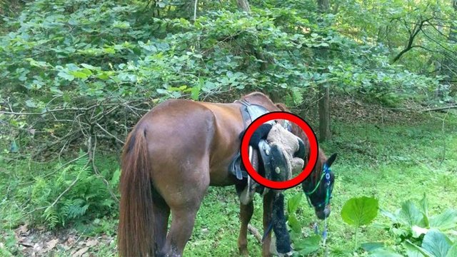 Kur askush se priste! Top Channel bën veprimin e madh për Luiz Ejllin! Tashmë ai do bëhet “pronar” i një…