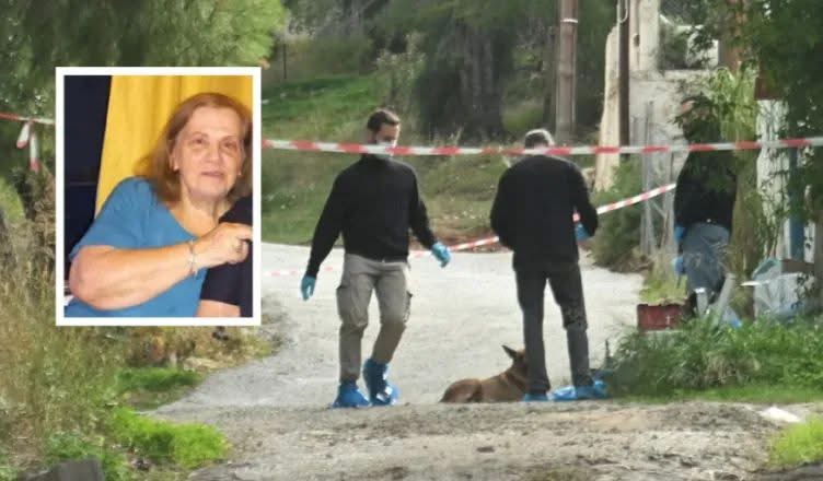 Krim në familjen Demiri/ Nusja vret vjehrrën e saj – Ja emrat