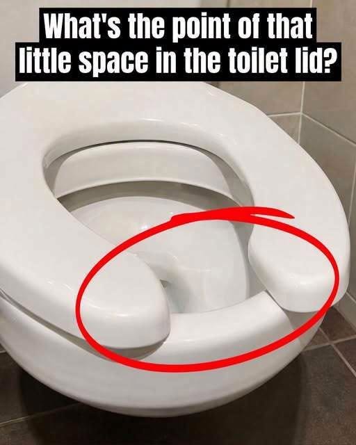 What’s the Purpose of That Little Gap in a Toilet Seat?