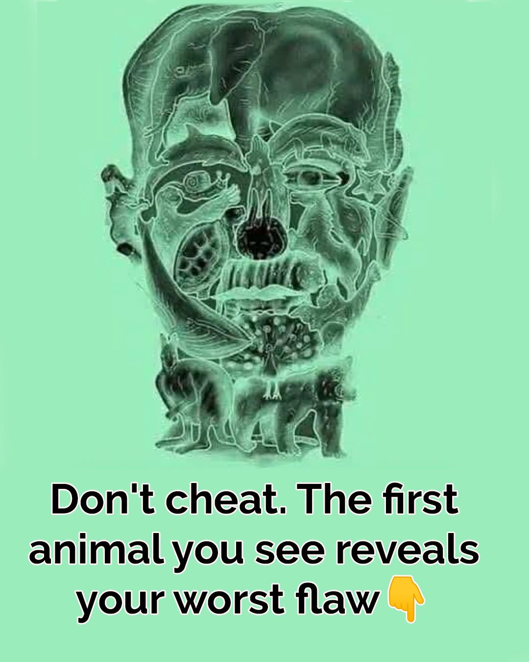 The first animal you see in this image reveals your ‘worst flaw’