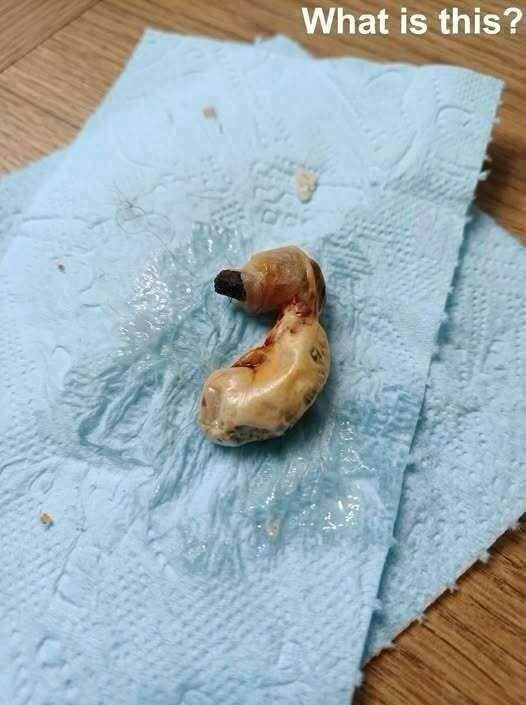 I found this in my son’s room while cleaning.