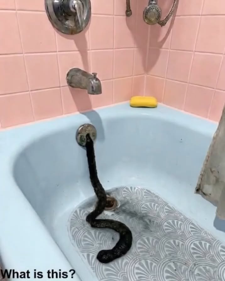The Shape in the Drain: When Fear Turns Out to Be Something Ordinary