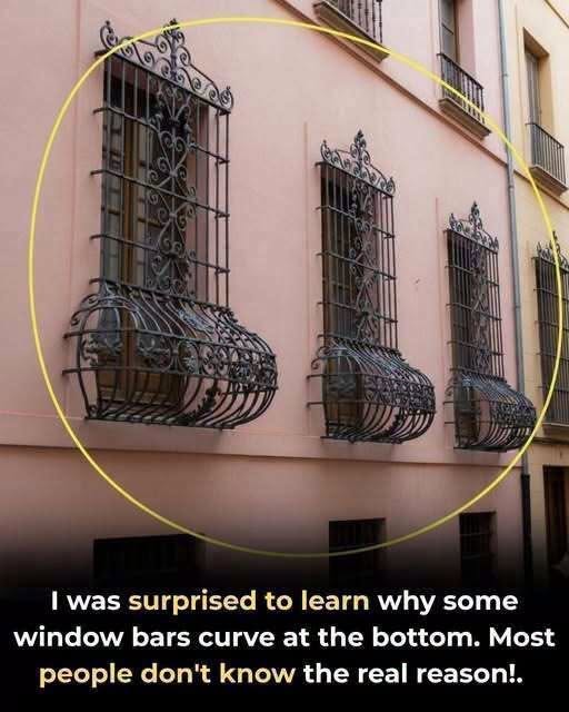 The Hidden Meaning Behind Those Strange Bulging Window Grills Will Change How You Look at City Streets Forever