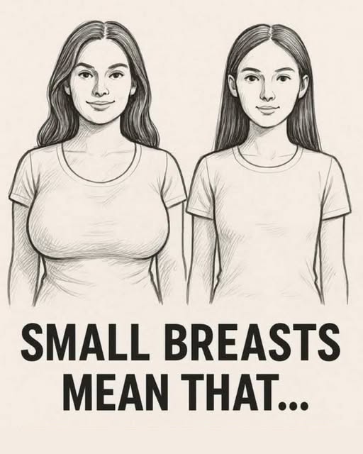 The Shocking Myth About Breast Size and Hormones That Every Woman Has Gotten Completely Wrong!