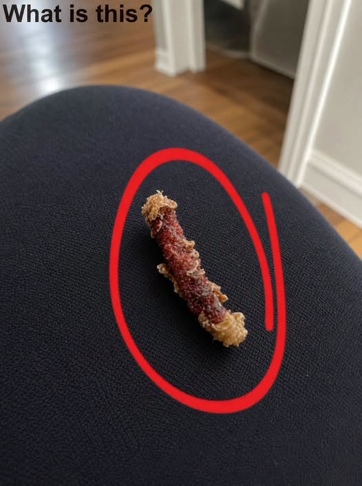 I Woke Up in the Middle of the Night Convinced Something Was Biting My Skin, Only to Discover a Terrifyingly Real Sensation That Sent Me Into Panic