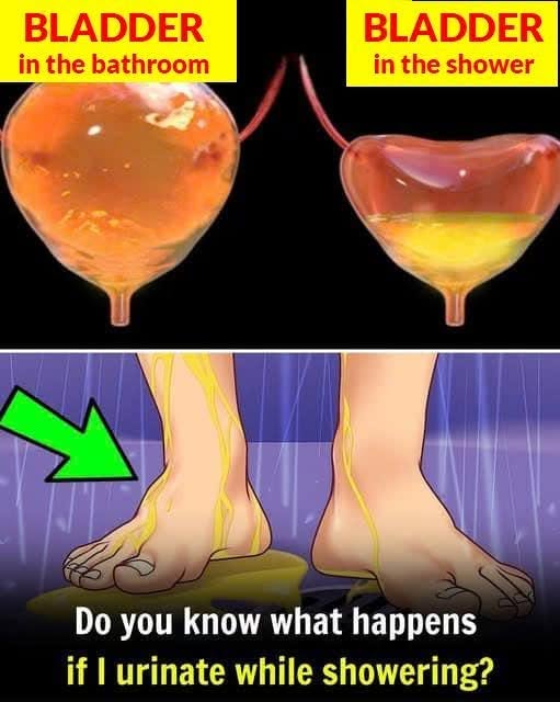 Why You Should Think Twice About Urinating in the Shower…