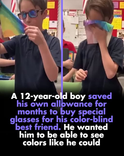 12-year-old boy saved his allowance for months to buy special glasses for his color-blind best friend. He wanted him to see colors as he did