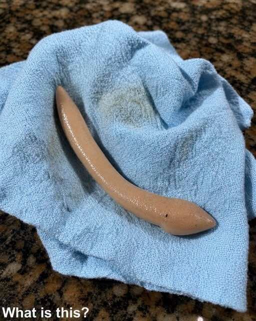 This evening, I went into my girlfriend’s bathroom and found this on the floor.