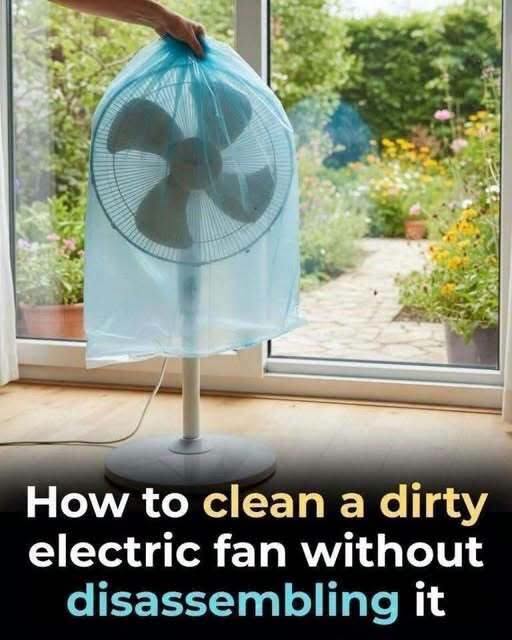 How to Remove Dust From Your Fan Without Disassembling It