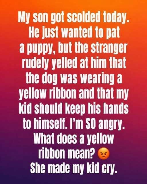 What Does a Yellow Ribbon on a Dog Really Mean?