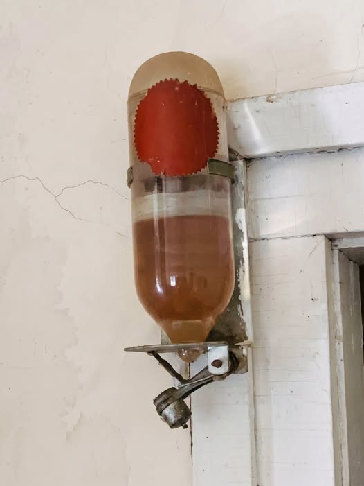 I’m Wondering If Someone Can Tell Me What This Is