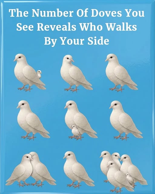 The Number Of Doves You See Reveals Who Walks By Your Side