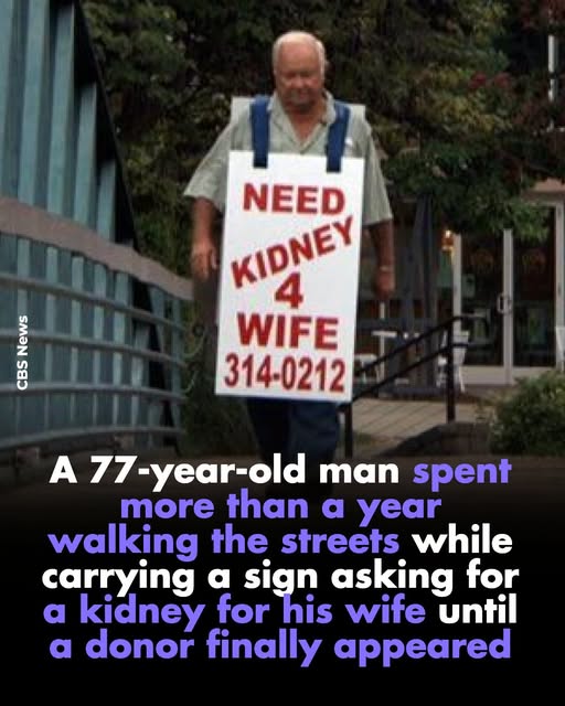 A 77-year-old man spent more than a year walking the streets while carrying a sign asking for a kidney for his wife until a donor finally appeared
