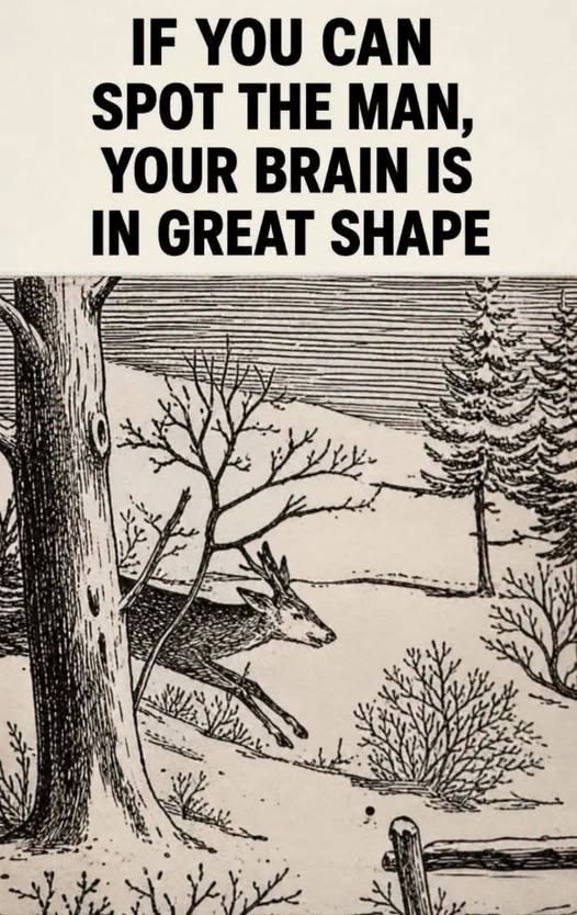 Can You Spot the Hidden Man in This Winter Picture?