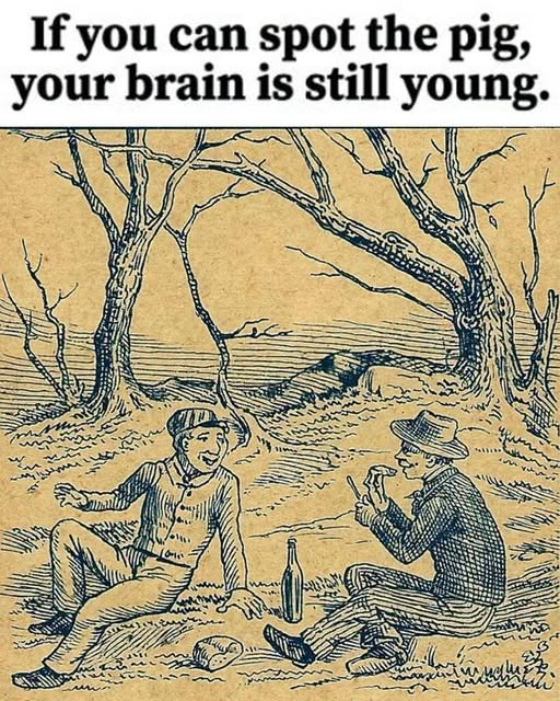 Hidden Pig Puzzle