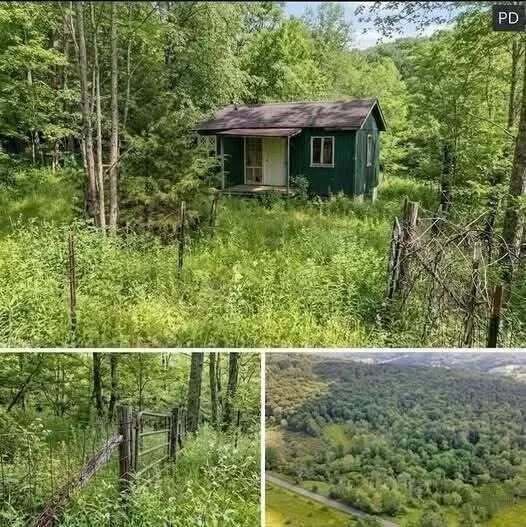 A Hidden Peaceful Escape – This Secluded 1.5-Acre Property Offers a Chance to Create a Peaceful Retreat