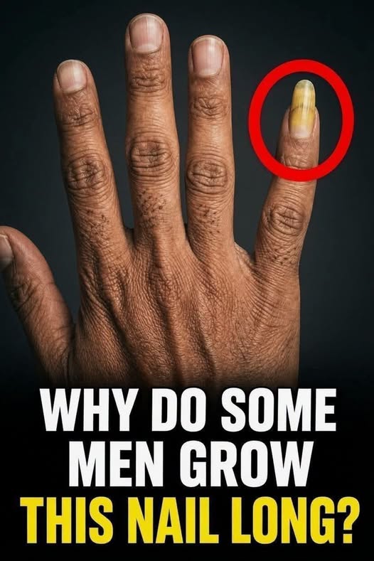 Why Do Some People Keep One Fingernail Long? The Surprising Reasons Behind the Habit