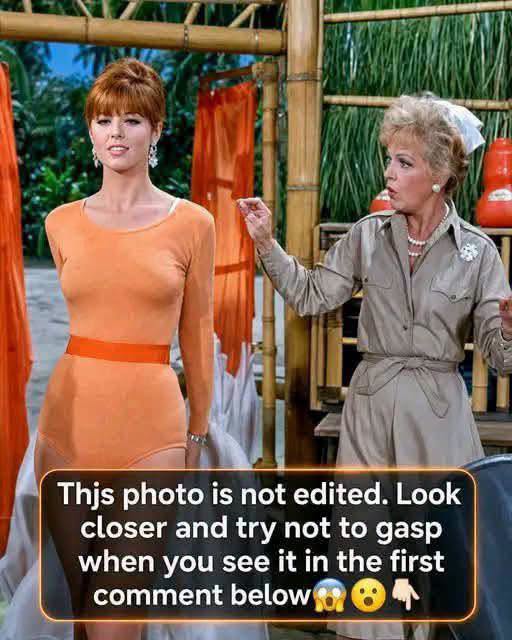 The Details Viewers Missed in Gilligans Island